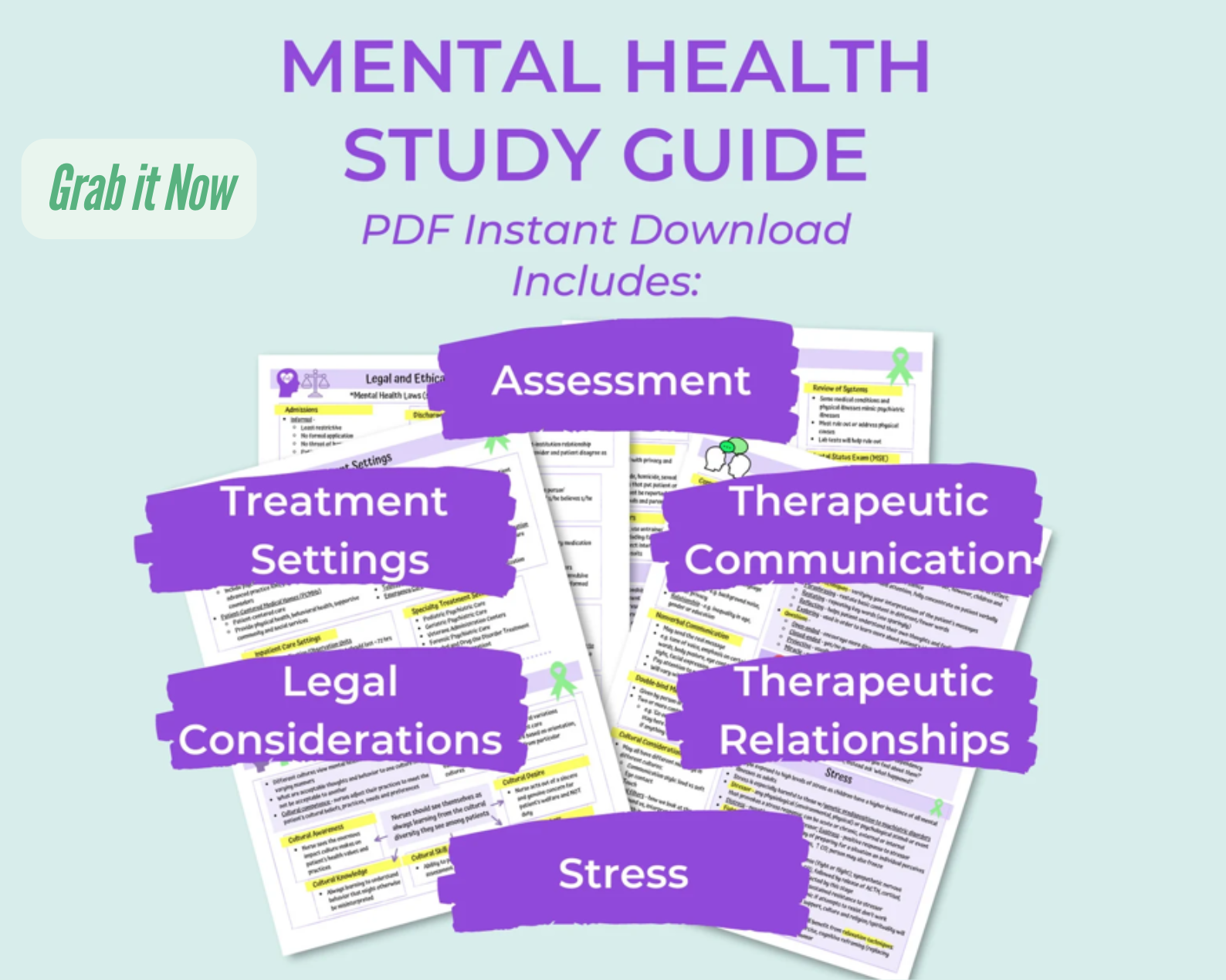 Psychiatric-Mental Health Study Guide | Nursing student study guide | Psychotropic Drugs | Digital Download