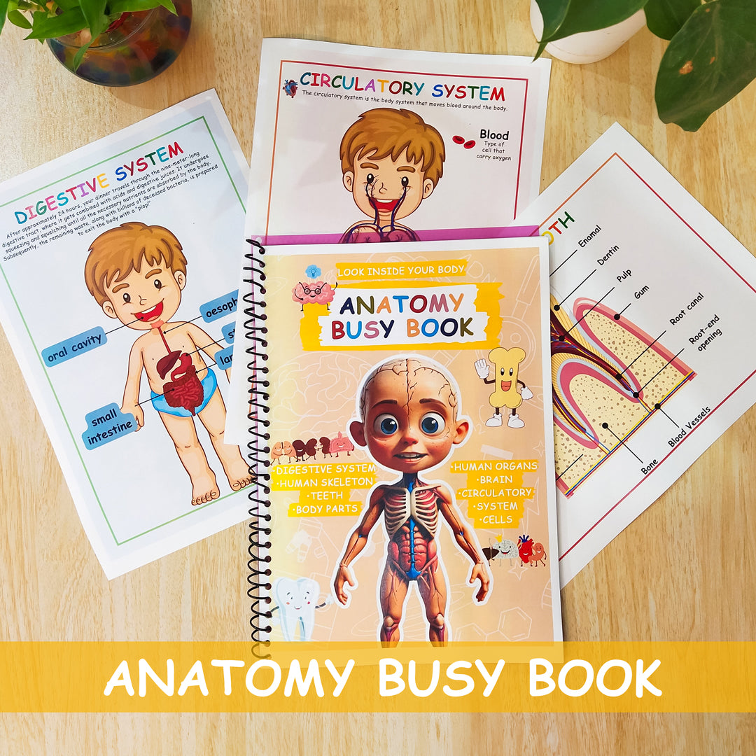 Anatomie des Menschen - Beschäftigungsbuch - Druckbare Arbeitsblätter für die Vorschule - Homeschool-Ressourcen - Anatomie - Lehrplan für die Vorschule - Lernaktivitäten für Kleinkinder