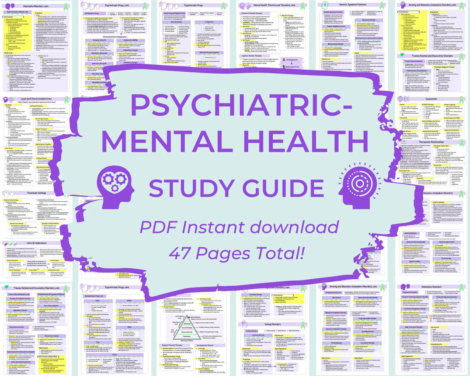 Psychiatric-Mental Health Study Guide | Nursing student study guide | Psychotropic Drugs | Digital Download